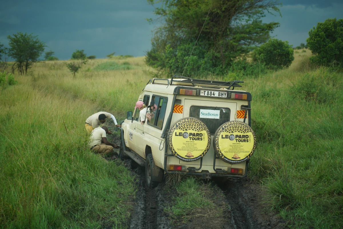 Stecken geblieben im Schlamm der Serengeti